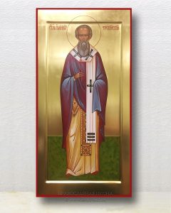 Икона «Емилиан Требийский, епископ, святитель» (образец №1)