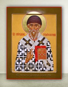 Икона «Спиридон Тримифунтский, святитель» (образец №6)