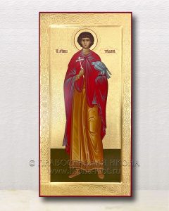 Икона «Трифон, святой мученик» (образец №16)